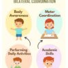 Bilateral Brain Gym Activity Worksheet (Free Digital Download)