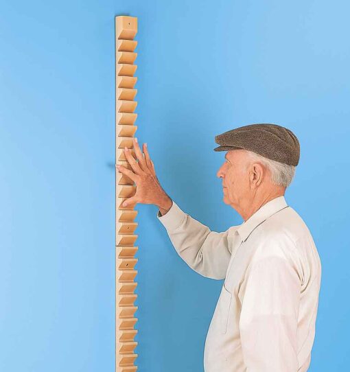 Finger shoulder Abduction Ladder