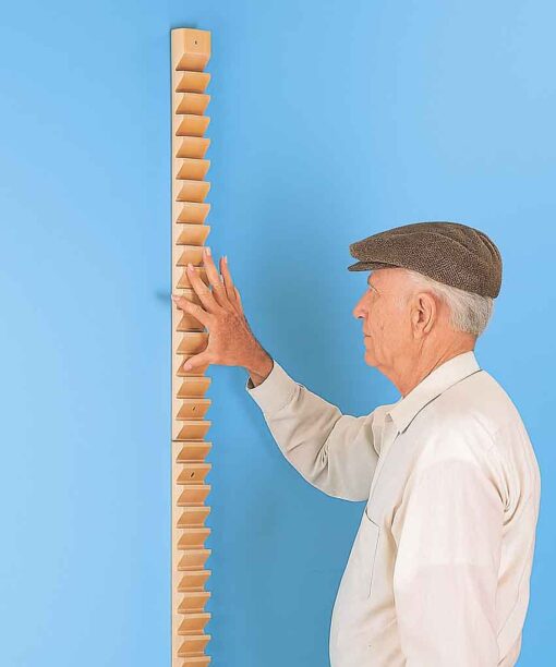 Finger shoulder Abduction Ladder