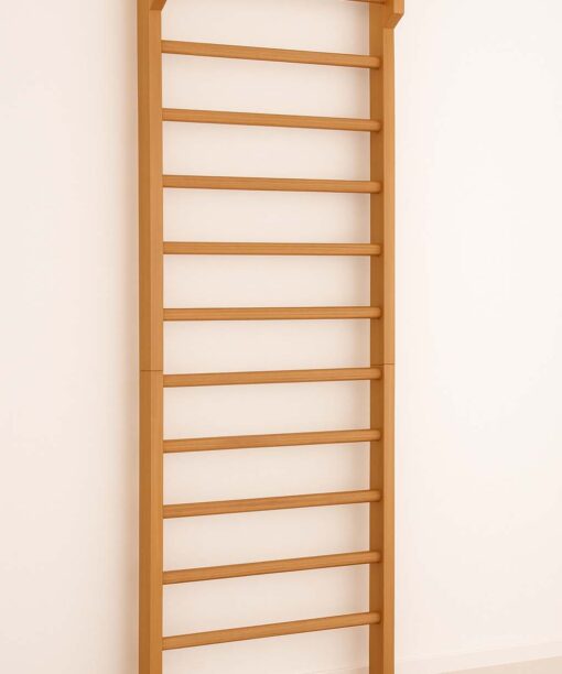 Swedish Ladders