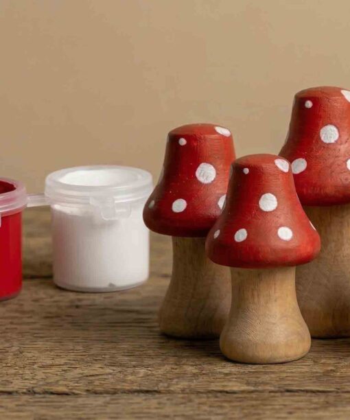 DIY Wooden Mushroom Paint Your Own Kit – 5 Piece